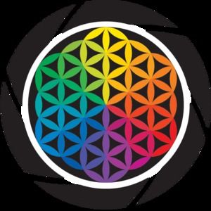 Meet your Posher, Meredith